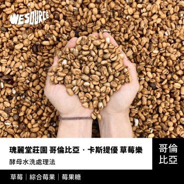 NY42223 哥倫比亞 瑰麗堂莊園 哥倫比亞‧卡斯提優 草莓樂 精品咖啡生豆