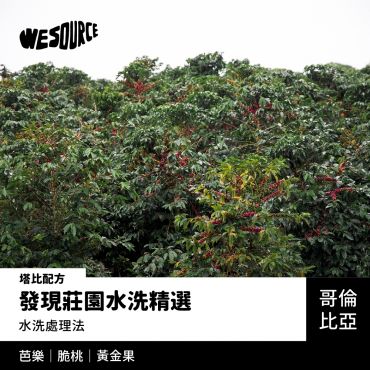 NY42183 哥倫比亞 發現莊園水洗精選-塔比配方 精品咖啡生豆