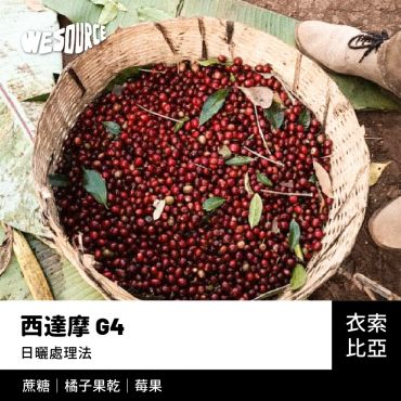 NY21121 衣索比亞 西達摩 G4 商業咖啡生豆