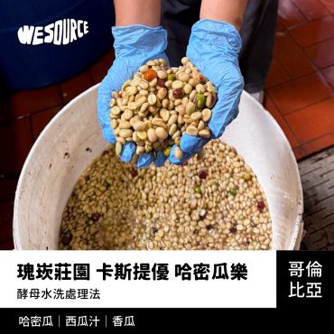 NY42222 哥倫比亞 瑰崁莊園 卡斯提優 哈密瓜樂 精品咖啡生豆
