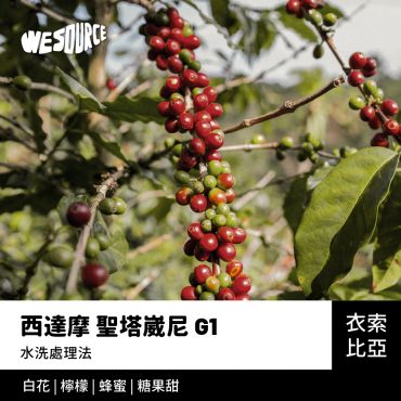 NY22156 衣索比亞 西達摩 聖塔崴尼 G1 精品咖啡生豆