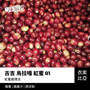 NY22157 衣索比亞 古吉 烏拉嘎 紅蜜 G1 精品咖啡生豆