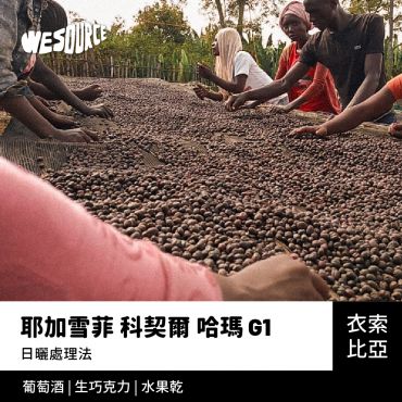 NY22159 衣索比亞 耶加雪菲 科契爾 哈瑪 G1 精品咖啡生豆