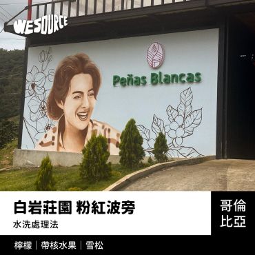 NY42280 哥倫比亞 白岩莊園 粉紅波旁 精品咖啡生豆