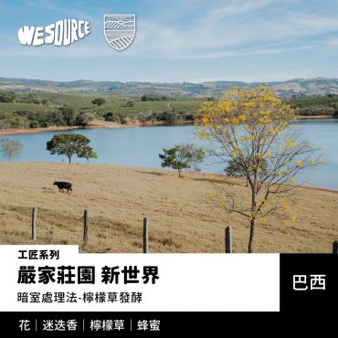 NY42220 巴西 嚴家莊園 新世界 工匠系列 精品咖啡生豆