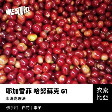 NY22171 衣索比亞 耶加雪菲 哈努蘇克 G1 精品咖啡生豆