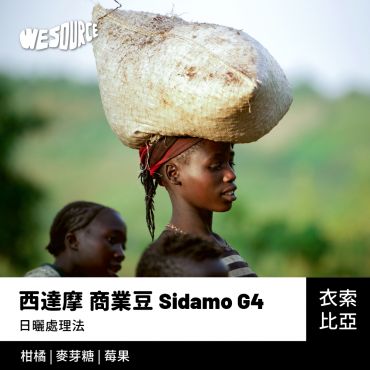 NY21121 衣索比亞 西達摩 G4 商業咖啡生豆