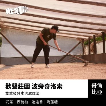 NY42226 哥倫比亞 歡聲莊園 歡聲莊園 波旁奇洛索 精品咖啡生豆