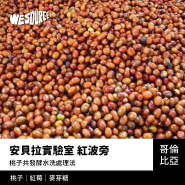NY42286 哥倫比亞 安貝拉實驗室 紅波旁 精品咖啡生豆