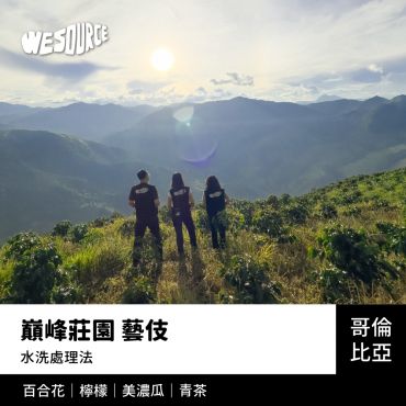 NY42238 哥倫比亞 巔峰莊園 藝伎 精品咖啡生豆