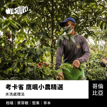 NY42228 哥倫比亞 考卡省 鷹颯小農精選 精品咖啡生豆