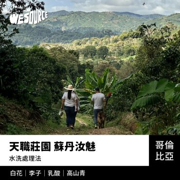 NY42234 哥倫比亞 天職莊園 蘇丹汝魅 精品咖啡生豆