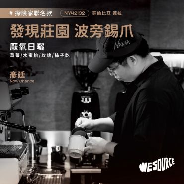 NY42132 哥倫比亞 發現莊園 波旁錫爪 精品咖啡生豆