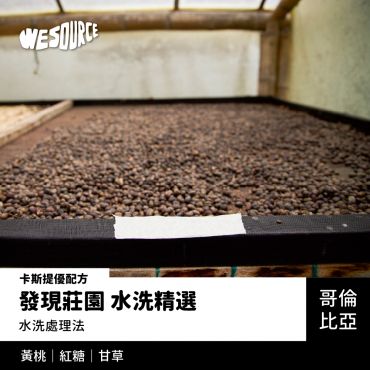 NY42182 哥倫比亞 發現莊園水洗精選-卡斯提優配方 精品咖啡生豆