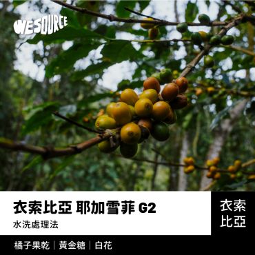 NY21142 衣索比亞 耶加雪菲 G2 商業咖啡生豆