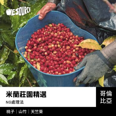 NY42285 哥倫比亞 米蘭莊園精選 精品咖啡生豆