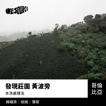 NY42188 哥倫比亞 發現莊園 黃波旁 精品咖啡生豆