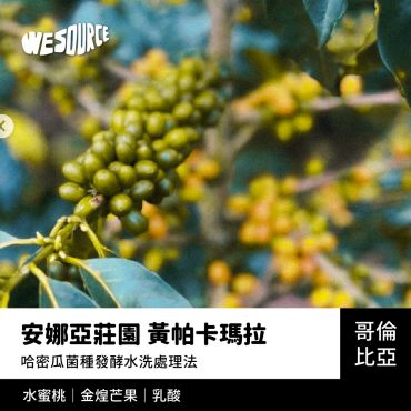 NY42268 哥倫比亞 安娜亞莊園 黃帕卡瑪拉 精品咖啡生豆