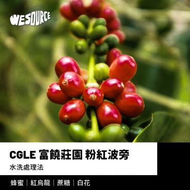 NY42247 哥倫比亞 CGLE-富饒莊園 粉紅波旁 精品咖啡生豆