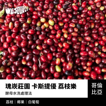 NY42221 哥倫比亞 瑰崁莊園 卡斯提優 荔枝樂 精品咖啡生豆