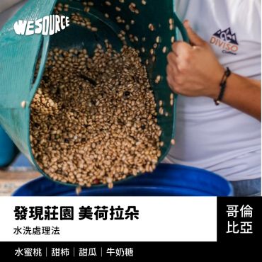 NY42257 哥倫比亞 發現莊園 美荷拉朵 精品咖啡生豆