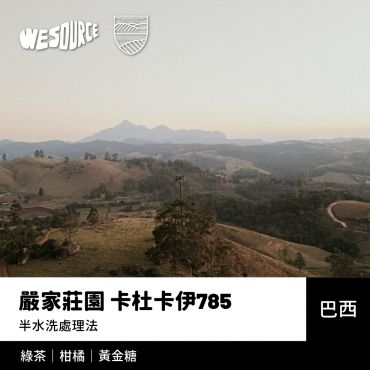 NY42208 巴西 嚴家莊園 卡杜卡伊785 精品咖啡生豆