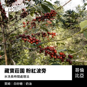 NY42180 哥倫比亞 藏寶莊園 粉紅波旁 精品咖啡生豆