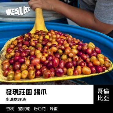 NY42256 哥倫比亞 發現莊園 錫爪  精品咖啡生豆