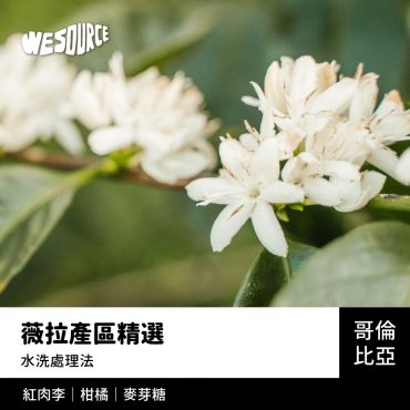 NY42242 哥倫比亞 薇拉產區精選 精品咖啡生豆