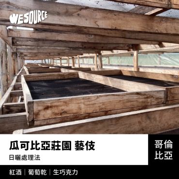 NY42203 哥倫比亞 瓜可比亞莊園 藝伎  精品咖啡生豆