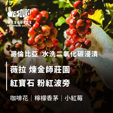 NY42107 哥倫比亞 煉金師莊園 紅寶石 粉紅波旁 精品咖啡生豆