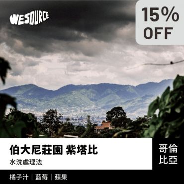 NY42197 哥倫比亞 伯大尼莊園 紫塔比 精品咖啡生豆