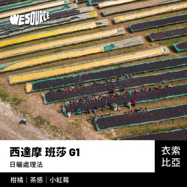 NY22181 衣索比亞 西達摩 班莎 G1 精品咖啡生豆