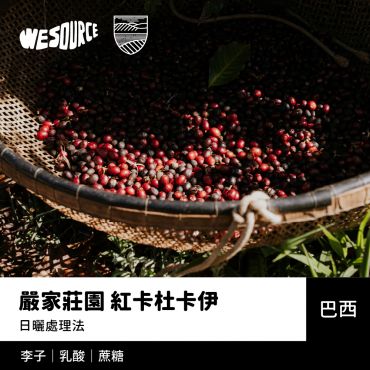 NY42213 巴西 嚴家莊園 紅卡杜卡伊 精品咖啡生豆