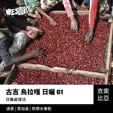 NY22158 衣索比亞 古吉 烏拉嘎 日曬 G1 精品咖啡生豆