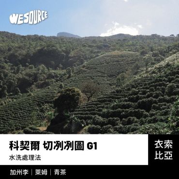 NY22144 衣索比亞 科契爾 切冽冽圖 G1 精品咖啡生豆