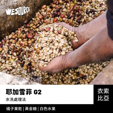 NY21142 衣索比亞 耶加雪菲 G2 商業咖啡生豆