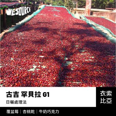 NY22167 衣索比亞 古吉 罕貝拉 G1 精品咖啡生豆