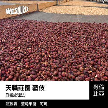 NY42241 哥倫比亞 天職莊園 藝伎 精品咖啡生豆