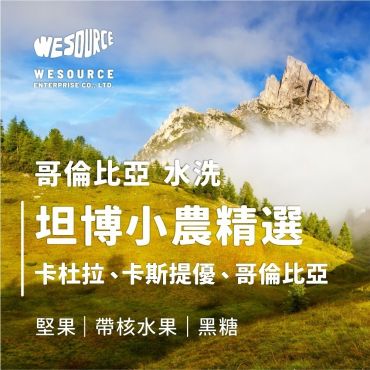 NY42086 哥倫比亞 坦博小農精選 精品咖啡生豆