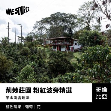 NY42190 哥倫比亞 荊棘莊園 粉紅波旁精選 精品咖啡生豆