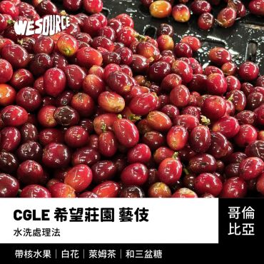 NY42250 哥倫比亞 CGLE 希望莊園 藝伎 精品咖啡生豆