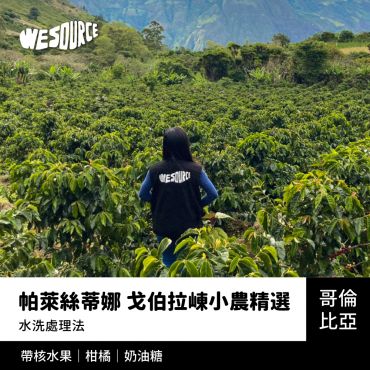 NY42254 哥倫比亞 帕萊絲蒂娜 戈伯拉崠小農精選 精品咖啡生豆