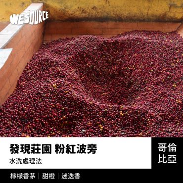 NY42274 哥倫比亞 發現莊園 粉紅波旁 精品咖啡生豆