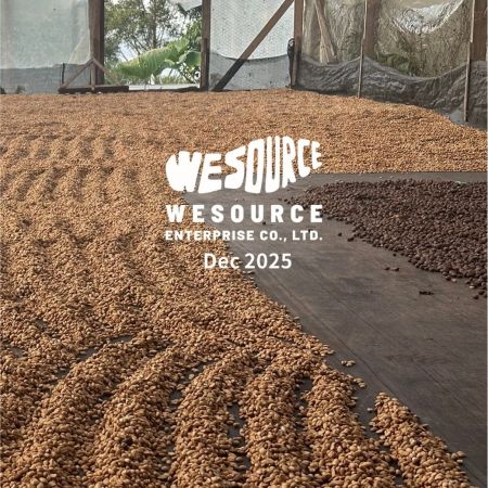 2025年12月-精選豆單