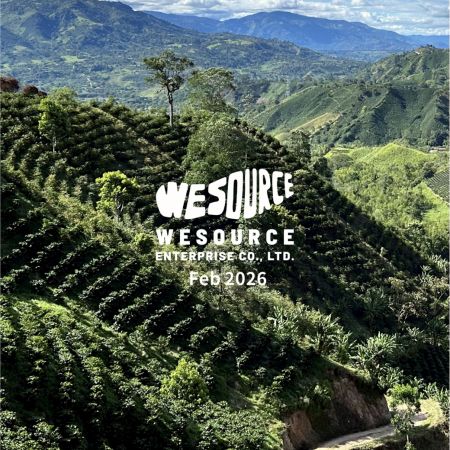 2026年2月-精選新豆